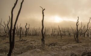 Desertificazione, degradazione e siccità